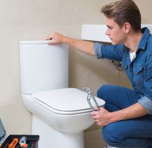 Load image into Gallery viewer, TOILET FLUSHER FIX